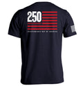 America 250 Years Anniversary Flag